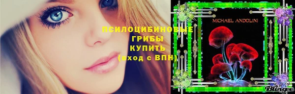 спиды Алексеевка