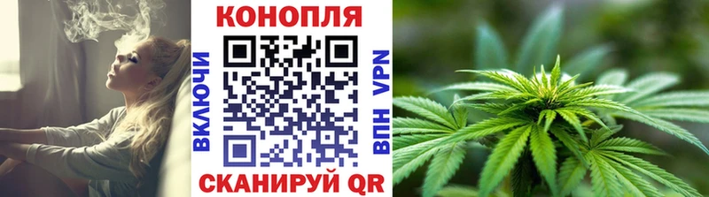 Марихуана план  где купить наркотик  Нытва 